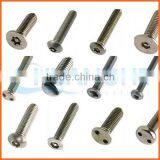 China Supplier Torx Anti-theft Screws thumbnail-5