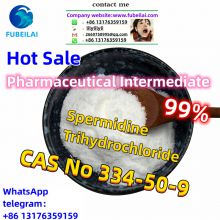 Hot Sale Pharmaceutical Intermediate  CAS No:334-50-9 99% Sper-m-idi-ne Tri-hydr-ochl-ori-de mt-45 m.xe FUBEILAI Wicker Me:lilylilyli Skype： live:.cid.264aa8ac1bcfe93e WHATSAPP:+86 13176359159