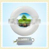 Low Frequency Energy Saving Lamp Complete Series 40-300W E40 Round Price Induction Lamp thumbnail-1