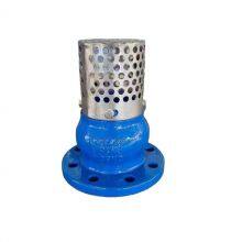 JIS/ANSI/DIN Pn16 Flanged Cast Iron Gg25 Foot Valve With Stainless Steel Mesh for Water Pump Bottom Valve thumbnail-1