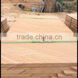 Best Quality Yellow Slate Stone Different Types