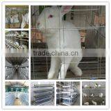 Top Sale Livestock/poultry/rabbit/bird Cage for Animal Farm thumbnail-1