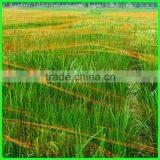 Supply High Quality Flower Protection Anti Bird Netting&pond Covering Mesh thumbnail-4