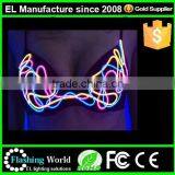 LED Luminous Bra / Color Changeable LED Light Suits / Sexy Dance Wear