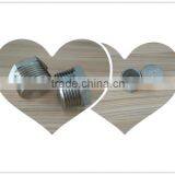 Stainless Steel Cast Hex Plug Fitting Solid and Hollow Plug