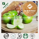 Wholesale Price Factory supplier Natural Plant Extract GMP ISO Kosher Natural Organic Apple Extract