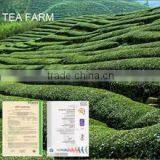 Hangzhou Linan Oriental Tea Applied Technology Research Institute company overview - view 2 thumbnail