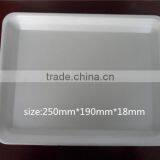 PS Foam Fresh Food and Fruit Packaging Tray