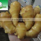 chinese fresh ginger