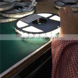 5m x 10mm Constant Current dc 12v High Lumen 4000lm Smd 5050 Led Strip With Waterproof dc Connectors thumbnail-2