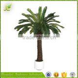 Hot Sale Oranmental Artificial Cycas Revoluta Tree for Sale From China thumbnail-1