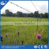 Hot selling for electronic and hot dipped galvanized barbed wire