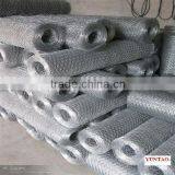 Galvanized Tree Guard Hexagonal Wire Mesh Factory