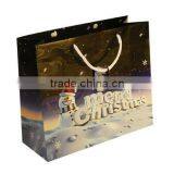 Festival Paper Bag, Paper Shopping Bag