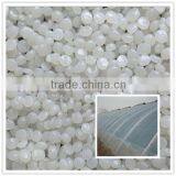 Agricultural Plastic Tunnel Film Anti Ageing and Anti Fogging Anti UV Masterbatch thumbnail-1