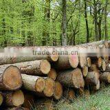 Laminated Board With High Density thumbnail-6