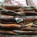 2016 High Quality Frozen Illex Squid 200-300g for Sale thumbnail-1