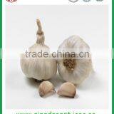 Chinese Natural Spice Garlic Supply to Singapore thumbnail-5