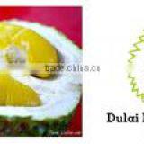 Dulai Fruits Enterprise company overview - view 1 thumbnail