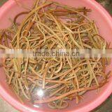 Chineses' Osmunda Cinamomea Cinamomea in Promotion Vetch Boiled Osmund Japan Osmunda Cinamomea thumbnail-1