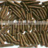 Long Pepper thumbnail-1