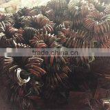 Diesel Engine DF121 Oil Seal Seat, DF151 Oil Seal Seat for Walking Tractors thumbnail-2