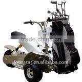 ELECTRIC GOLF CRUSIER SX-E-0906-3D thumbnail-1