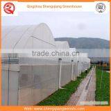 China Supplier Multi-span 7.2m Plastic PE Film Agriculture Greenhouse for Sale thumbnail-3