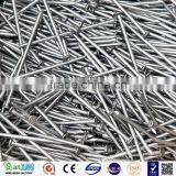 Galvanized Cement Nail China Supplier Yahoo.com thumbnail-1