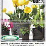 Reuseable Garden Growing Bags,Planting Bag