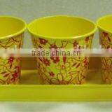 Outdoor Indoor Seed Planter and Pot thumbnail-1