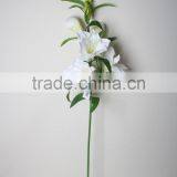 Natural Vallota Speciosa Fabric Vallota Speciosa Decorative Vallota Speciosa Artificial Flower for Wholesale thumbnail-3