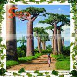 Guangzhou New Design Artificial Tree Locating at Scenic Certificate With SGS ISO Outdoor Gardens Large Artificial Baoble Tree thumbnail-3