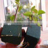 Automatic Wet Floral Foam Machine From China Supplier thumbnail-5