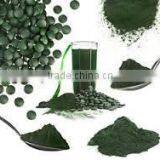 Spirulina Extract thumbnail-2