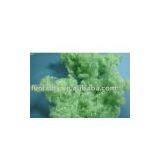 Green Fibers/polyester Staple Fibers/hollow Conjugated Fibers thumbnail-1