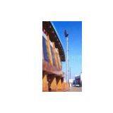 Steel Lighting Pole P1004