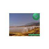 Greenhouse thumbnail-3