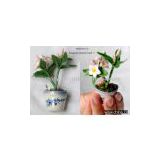 Hawaiian flower pot fridge magnet - plumeria frangipani