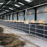 Low Cost Pig Farm House Building Construction Professional Design for Pig House thumbnail-3