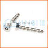 China Supplier Anti-theft Screw in Screw thumbnail-3
