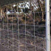 Y POST/good Quality/pvc Coated Y Post thumbnail-3