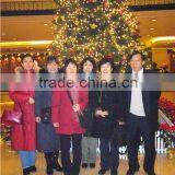 Hebei Yi-Guang Trading Co., Ltd. company overview - view 2 thumbnail