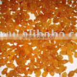 RAISINS ON BASE EU STANDARD