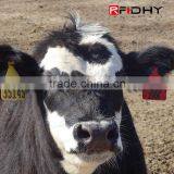 Rfid Fever Ear Tag