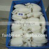Frozen Cleaned Cuttlefish Whole Round thumbnail-1