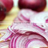 Red Onion thumbnail-1