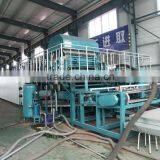 Fully Automatic Paper Egg Tray Machine 4000pcs/h