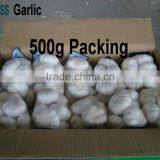 Shandong New Garlic Price of Sale thumbnail-3