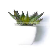 Artificial Potted Aloe Succulent Plant with beautifully variegated leaves